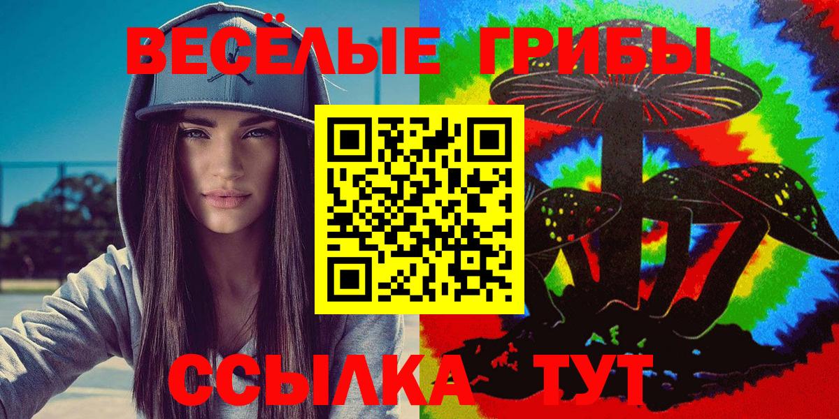 Псилоцибиновые грибы Psilocybine cubensis Сергиев Посад